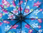 Зонт  женский Lantana, арт.658_product